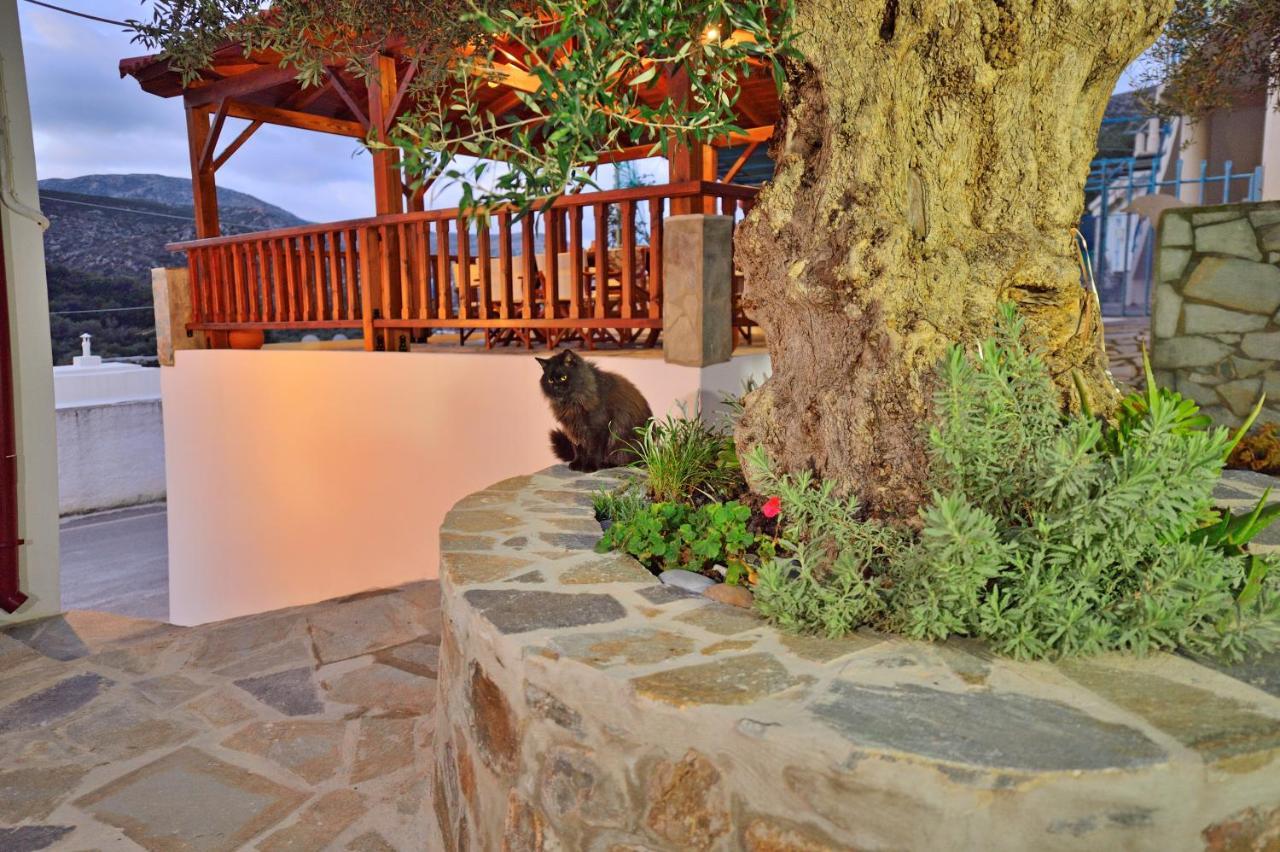 Plokamos House Villa Plokamianá Dış mekan fotoğraf